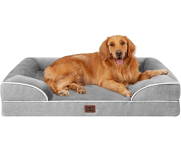 The Best 5 Sellers in Dog Beds 2026