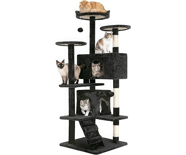 The Best 5 Sellers in Cat Trees 2026