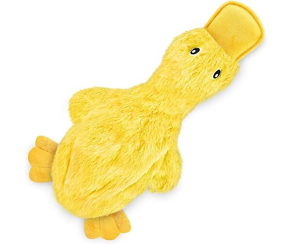 The Best 5 Sellers in Dog Toys 2026